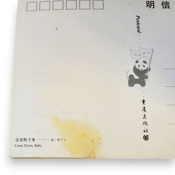 Giant Panda Postcard Book 2006 China 20 Cards Souvenir FLAWED For Crafts - Picture 10 of 11
